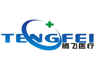 李正東的河南省騰飛醫療器械有限公司logo設計